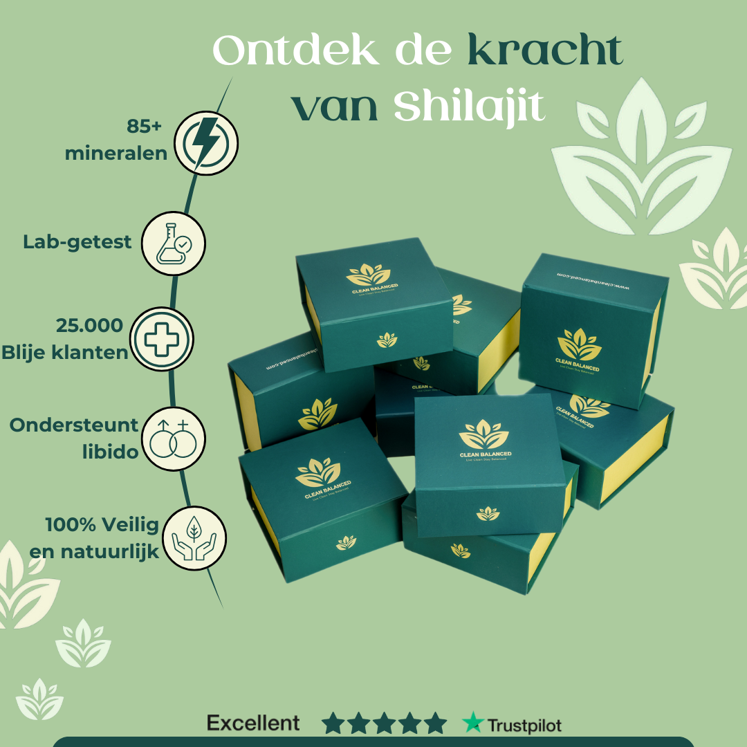 Clean Balanced Premium Shilajit (30 gram)